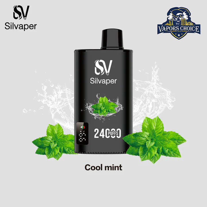 SILVAPER 24000 PUFFS (20mg) - DISPOSABLE VAPE Cool Mint UAE Dubai & Ras Alkhima
